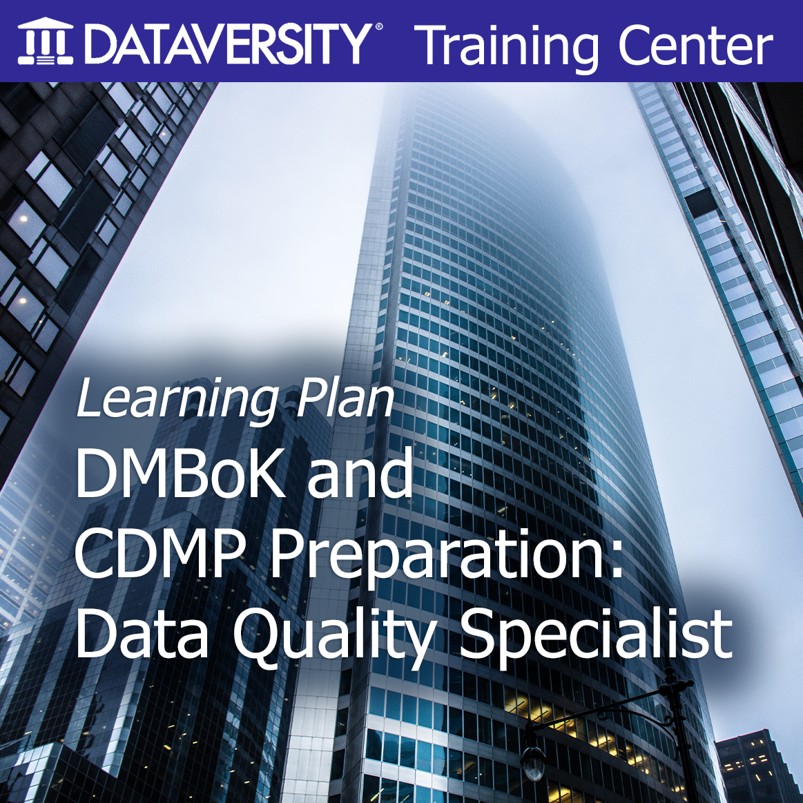 Data Quality Specialist Learning Plan